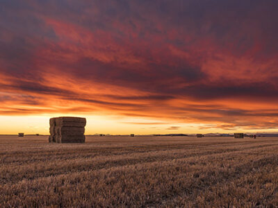 haybale3_500px haybale3_500px